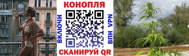 Виды наркотиков купить Кудрово Псилоцибиновые грибы  APVP  ГАШИШ  Мефедрон  КОКАИН 