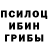 COCAIN Fish Scale Mitko Donev