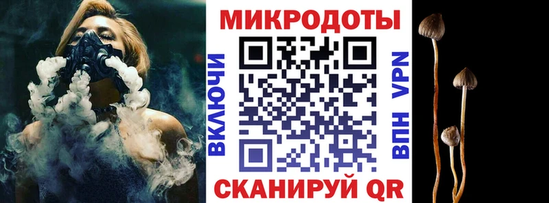 наркота  Кудрово  Псилоцибиновые грибы ЛСД 